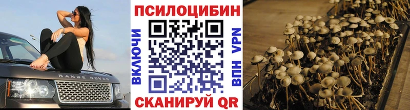где найти наркотики  Костерёво  omg сайт  Галлюциногенные грибы прущие грибы 